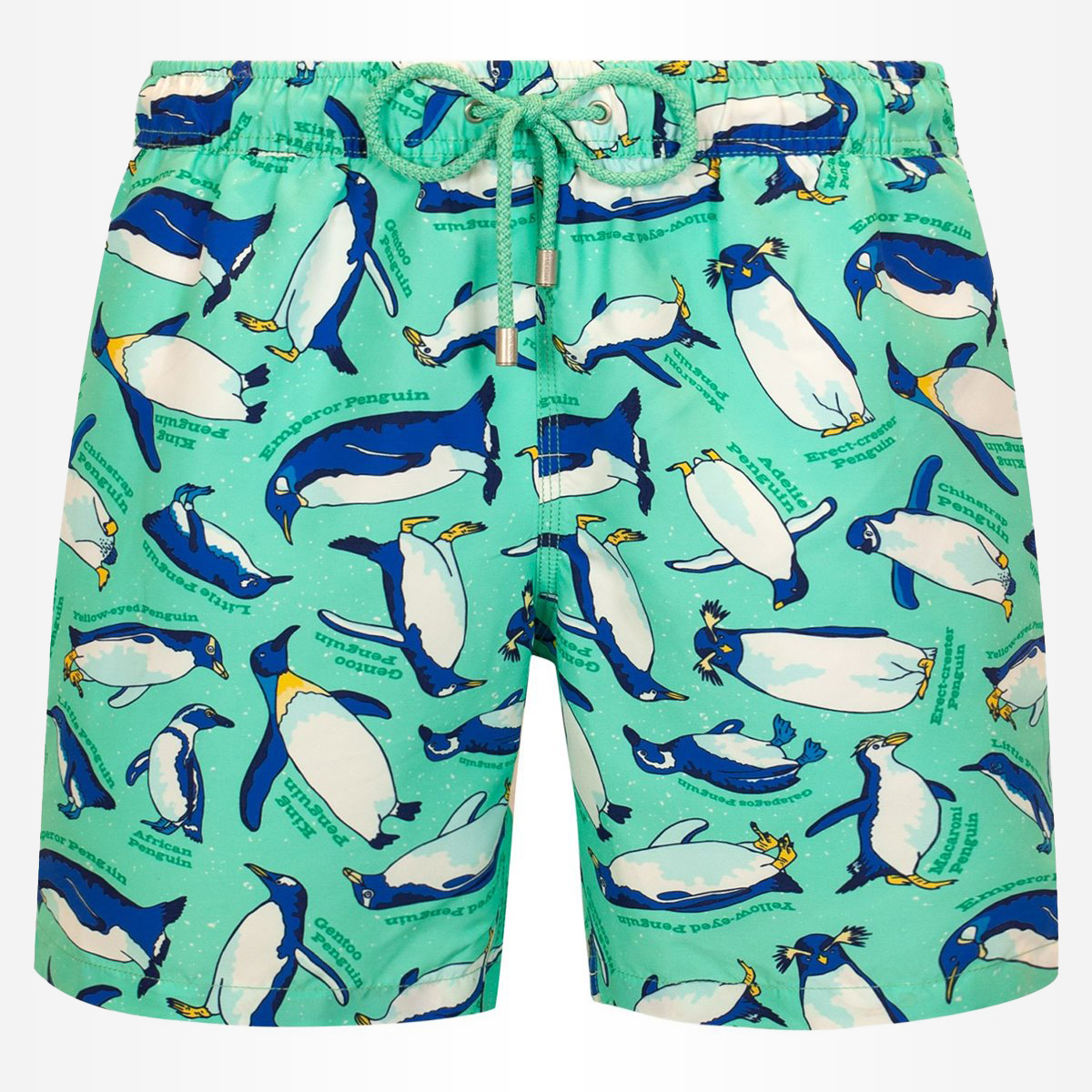 Buy Arthur Cascade King Penguin Swim Shorts Green Online in