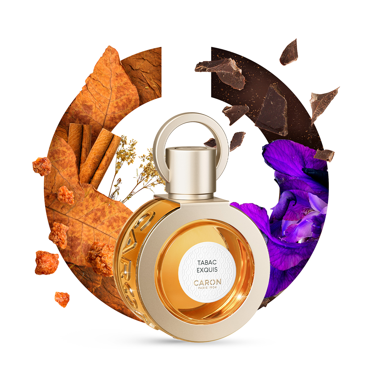Buy Tabac Exquis Eau de Parfum - 50ml Online for Men in Jordan