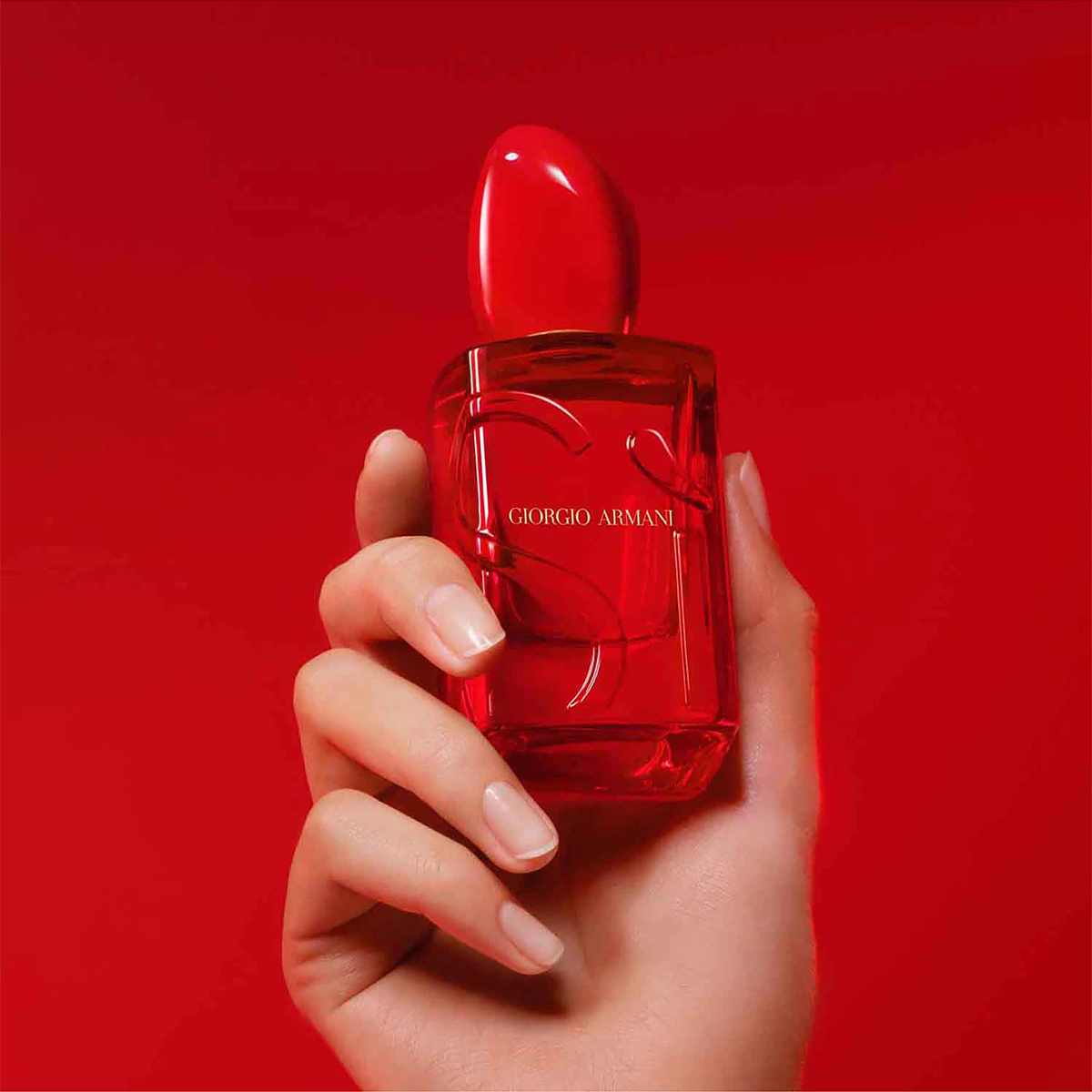 Buy Sì Passione Red Musk Eau de Parfum - 50ml Online for Men in Kuwait