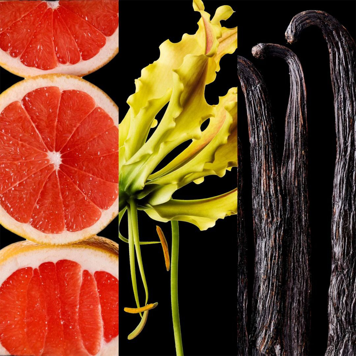 عطر سي اتش وايلد لوف المركز - 100 مل product thumbnail 5