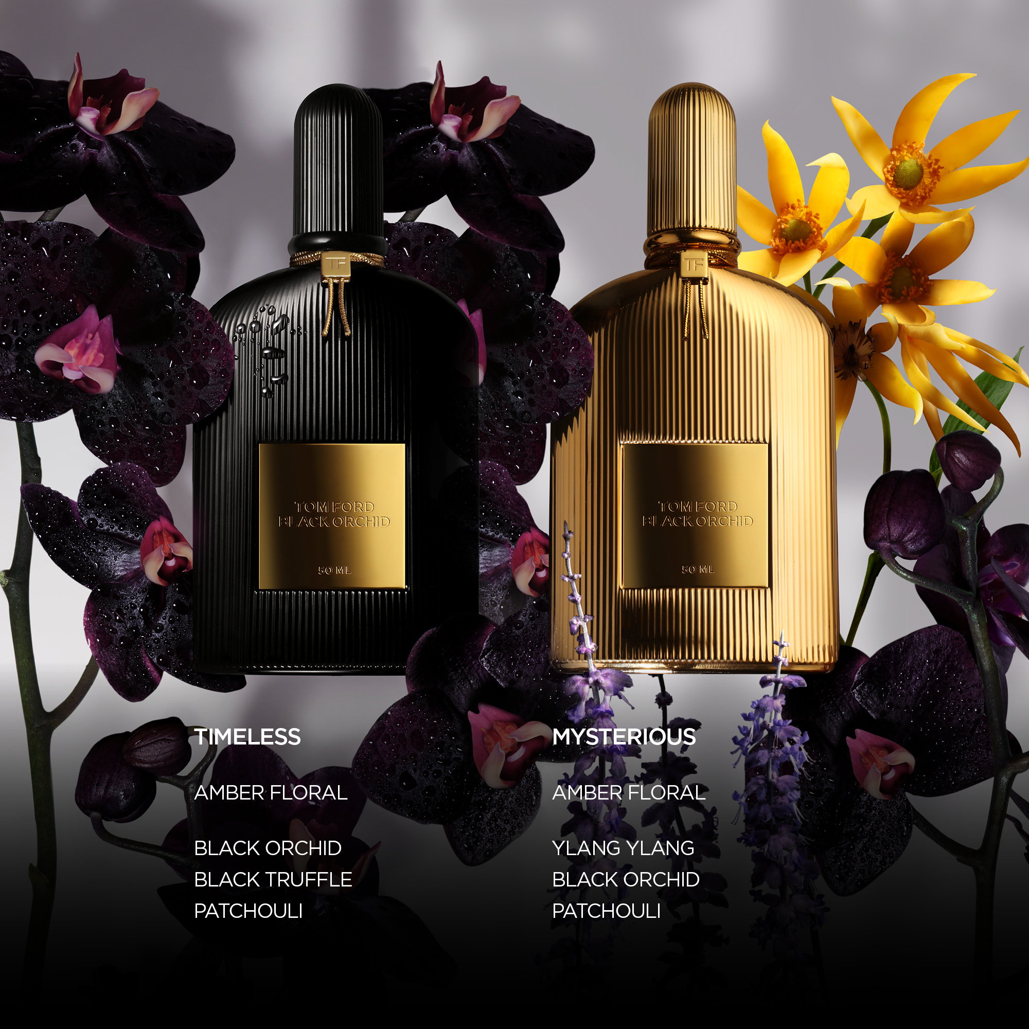 Buy Black Orchid Eau de Parfum - 50ml Online for Men in Kuwait